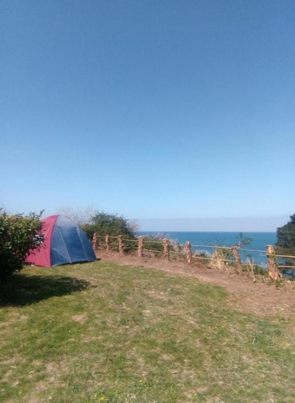 Aire De Camping Car, Caravane, Tente Emplacement Nu Avec Electricite Petit Camping Hotell Plestin-les-Grèves Exteriör bild